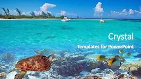  Presentation with scenery - Slides featuring sea scenery with green turtle background and a teal colored foreground