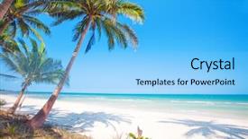  Presentation with fresh coconut juice decorated tropical - PPT theme having caribe - tropical beach with coconut palm background and a  colored foreground