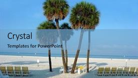  Presentation with beach palm tree wedding - Presentation design having caribean - group of palm trees background and a  colored foreground