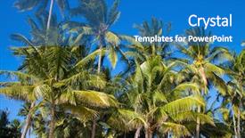  Presentation with water blue sky and peaceful - Beautiful PPT layouts featuring caribean - palm over blue sky backdrop and a  colored foreground