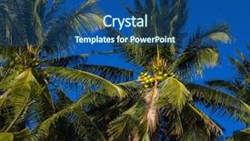  Presentation with sky blue - Colorful PPT layouts enhanced with caribean - palm over blue sky backdrop and a  colored foreground