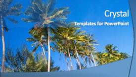  Presentation with sky blue - PPT layouts having caribean - palm over blue sky background and a  colored foreground