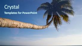  Presentation with dubai skyline on blue sky - Beautiful presentation theme featuring caribean - palm over blue sky backdrop and a  colored foreground