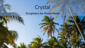  Presentation with blue sky - Beautiful presentation design featuring caribean - palms over blue sky backdrop and a  colored foreground