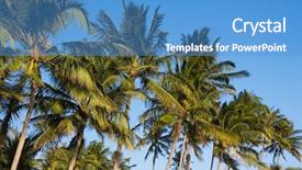  Presentation with blue sky - PPT theme featuring caribean - palms over blue sky background and a  colored foreground