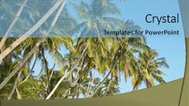  Presentation with water blue sky and peaceful - Theme enhanced with caribean - palms over blue sky background and a  colored foreground