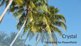  Presentation with water blue sky and peaceful - Cool new PPT theme with caribean - palms over blue sky backdrop and a  colored foreground