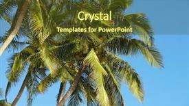  Presentation with sky blue - Presentation theme with caribean - palms over blue sky background and a  colored foreground