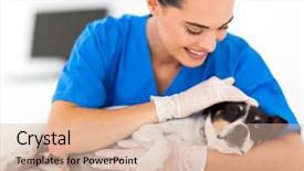  Presentation with sick dog - Theme featuring caring female vet comforting sick background and a lemonade colored foreground