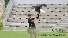  Presentation with eagle - Amazing PPT layouts having carinthia-austria-july-2015-american backdrop and a  colored foreground