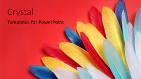  Presentation with carnival - Amazing presentation having carnival-colored-feathers backdrop and a red colored foreground