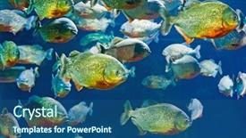  Presentation with fishes - Theme enhanced with carnivorous plants - tropical piranha fishes in natural background and a ocean colored foreground