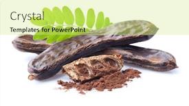  Presentation with carob - Amazing PPT layouts having carob-beans-with-leaves backdrop and a yellow colored foreground