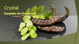  Presentation with vegan food - Presentation design with carob-healthy-organic-sweet-carob background and a tawny brown colored foreground