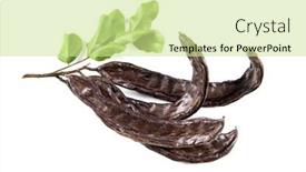  Presentation with white healthy food - Slide deck enhanced with carob-healthy-organic-sweet-carob background and a soft green colored foreground