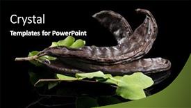  Presentation with carob - Slide deck with carob-healthy-organic-sweet-carob background and a  colored foreground
