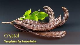  Presentation with vegan food - Presentation theme having carob-healthy-organic-sweet-carob background and a  colored foreground