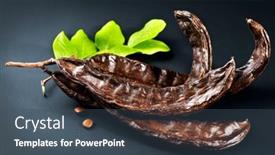  Presentation with carob - Presentation design enhanced with carob-healthy-organic-sweet-carob background and a ocean colored foreground