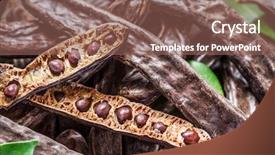  Presentation with carob - Audience pleasing slides consisting of carob pods and carob beans backdrop and a  colored foreground