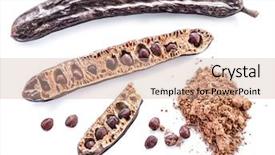  Presentation with carob - Presentation theme consisting of carob pods and carob powder background and a  colored foreground
