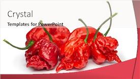  Presentation with capsicum - Beautiful PPT layouts featuring carolina-reaper-the-hottest-chile backdrop and a sky blue colored foreground