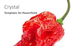  Presentation with capsicum - Beautiful PPT layouts featuring carolina-reaper-the-hottest-chile backdrop and a white colored foreground