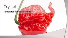 Presentation with capsicum - Slide deck enhanced with carolina-reaper-the-hottest-chile background and a white colored foreground