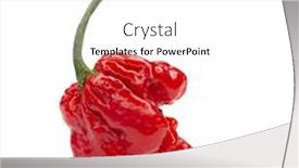  Presentation with capsicum - Beautiful theme featuring carolina-reaper-the-hottest-chile backdrop and a white colored foreground