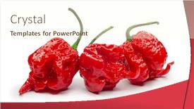  Presentation with capsicum - Beautiful theme featuring carolina-reaper-the-hottest-chile backdrop and a cream colored foreground
