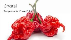  Presentation with capsicum - Audience pleasing PPT layouts consisting of carolina-reaper-the-hottest-chile backdrop and a white colored foreground
