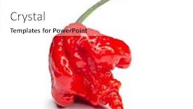  Presentation with chile - Slide deck enhanced with carolina-reaper-the-hottest-chile background and a white colored foreground