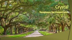  Presentation with plantation - Slide set enhanced with carolina usa tree lined plantation background and a tawny brown colored foreground