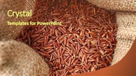  Presentation with closeup details of thai rice - PPT layouts enhanced with carotene - bag with red cargo rice background and a  colored foreground