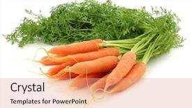  Presentation with carrots - Presentation theme enhanced with carotene - freshly harvested bunch of carrots background and a coral colored foreground
