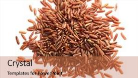  Presentation with basmati rice white rice rice - Cool new presentation theme with carotene - heap of red cargo rice backdrop and a  colored foreground
