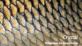  Presentation with fish scales - Cool new PPT theme with carp fish scales grunge texture backdrop and a coral colored foreground