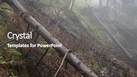  Presentation with mystic - PPT theme having carpathian forest in the fog background and a  colored foreground