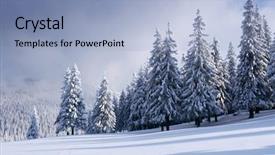  Presentation with winter landscape winter tree - Slide set with carpathian mountains ukraine europe christmas background and a  colored foreground