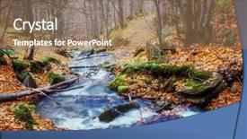  Presentation with yellow leaves of ginkgo biloba - Colorful presentation theme enhanced with carpathian ukraine europe beauty world backdrop and a  colored foreground