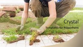  Presentation with grass - Beautiful PPT theme featuring carpet installation - gardener installing natural grass turfs backdrop and a yellow colored foreground