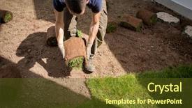  Presentation with lawn and garden - Cool new PPT theme with carpet installation - gardener installing natural grass turfs backdrop and a tawny brown colored foreground