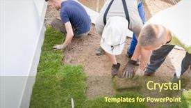  Presentation with lawn and garden - Amazing PPT theme having carpet installation - gardener installing natural grass turfs backdrop and a tawny brown colored foreground