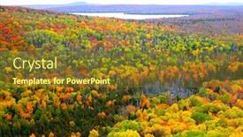  Presentation with carpet - Slide deck consisting of carpet-of-bright-colored-trees background and a tawny brown colored foreground