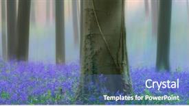  Presentation with light blue color - Slides with carpet of color bluebell background and a teal colored foreground