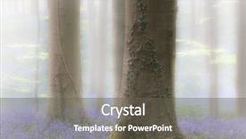  Presentation with foggy forest - Slide deck enhanced with carpet of color bluebell background and a gray colored foreground