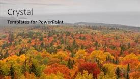  Presentation with tile - Beautiful presentation theme featuring carpet-of-colorful-trees backdrop and a light gray colored foreground