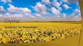  Presentation with blue yellow - Slides featuring carpet-of-magnificent-large-yellow background and a gold colored foreground