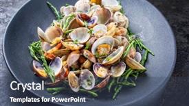  Presentation with minimalist - Colorful presentation enhanced with carpet shell with blanched green backdrop and a ocean colored foreground