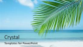  Presentation with carribean - Slide deck with carribean - palm leaf blue sea background and a light blue colored foreground
