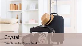  Presentation with magic wand dog - Beautiful presentation design featuring carrier - small dog maltese sitting backdrop and a coral colored foreground